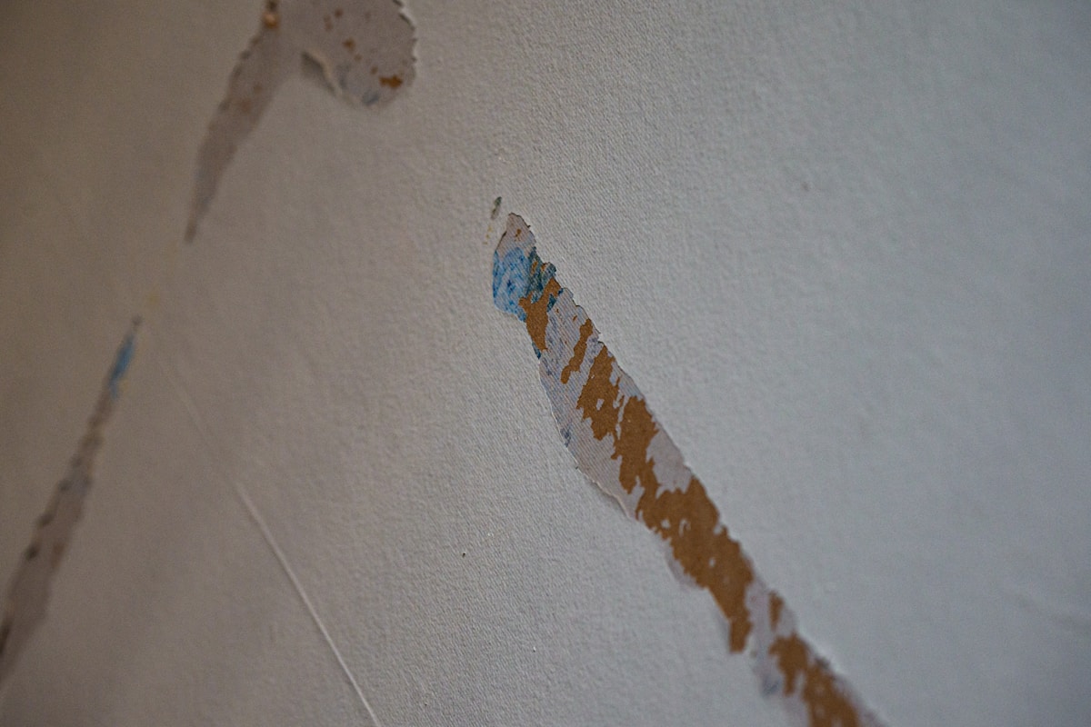 Commercial Water Damage service in Janesville, WI